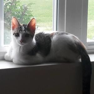 Meet your Posher, Julie